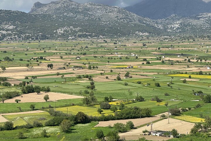 From Rethymno Private Day Tour Knossos-Lassithi Plateau