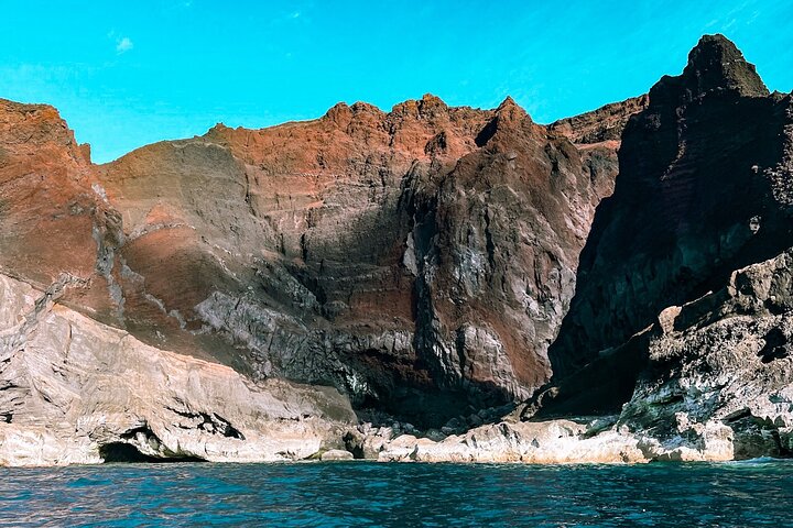 Private Seafari Boat Trip : Full Day