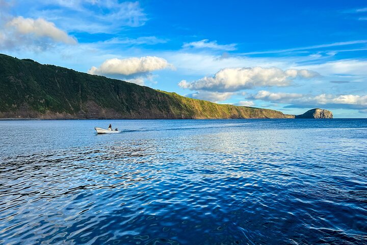 Private Seafari Boat Trip : Full Day