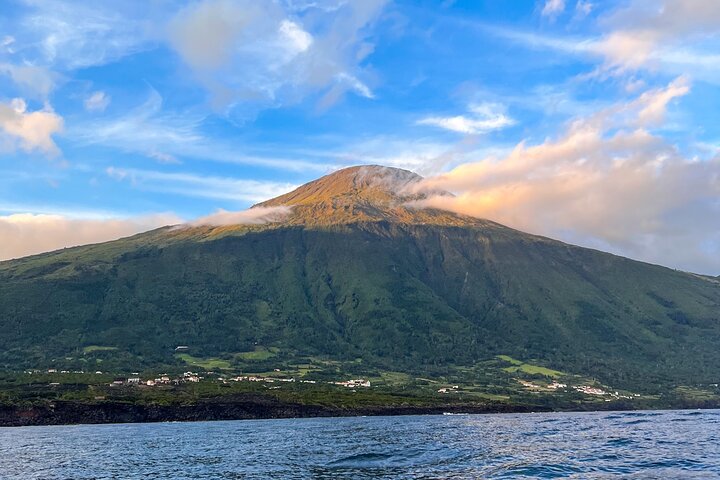 Private Seafari Boat Trip : Full Day