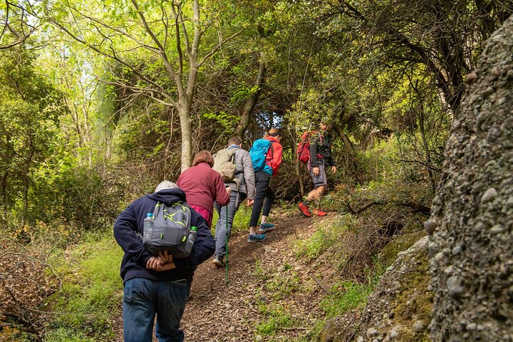 Meteora Small Group Hiking tour with Transfer and Monastery Visit