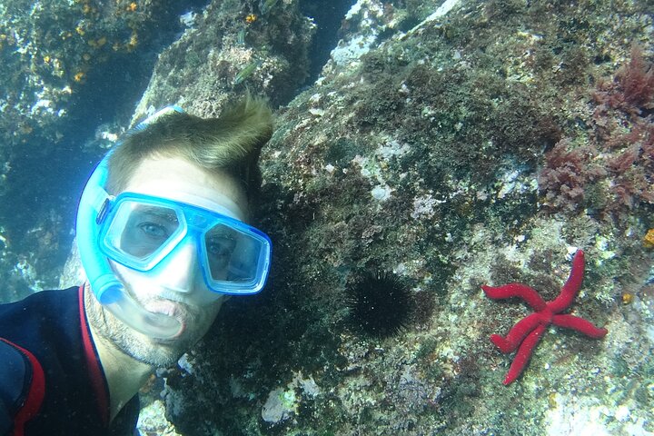 Kayak & Snorkel Tour in Cerro Gordo Natural Park, La Herradura