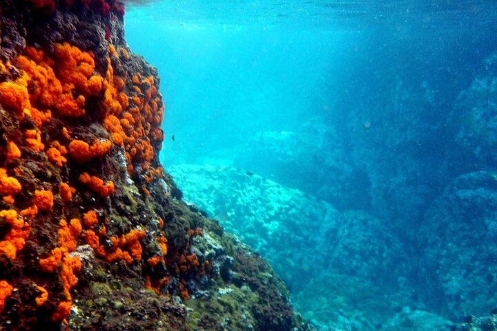 Kayak & Snorkel Tour in Cerro Gordo Natural Park, La Herradura