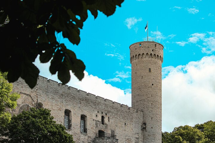 Deluxe Tallinn Small-Group Shore Excursion for Cruise Ships