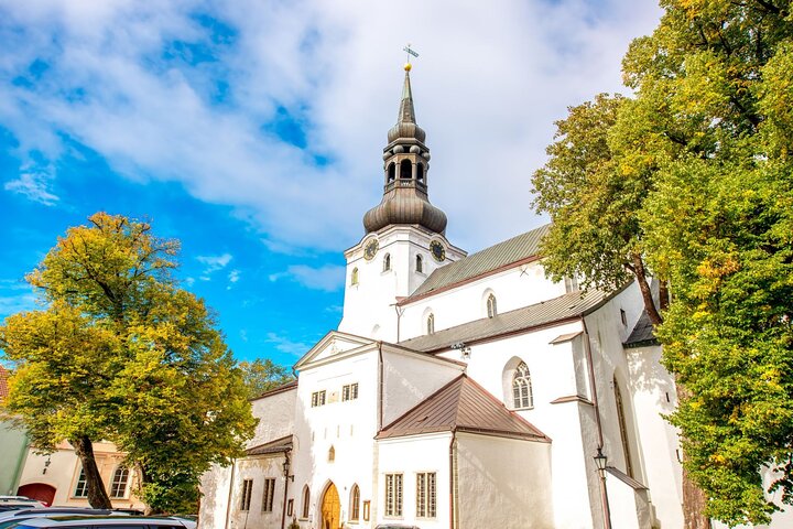 Deluxe Tallinn Small-Group Shore Excursion for Cruise Ships