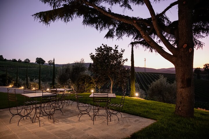 Montalcino: Brunello Wine Tasting & Tuscan Lunch