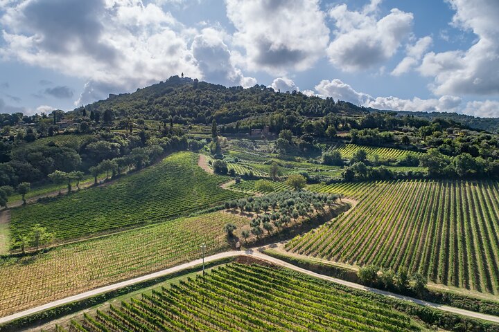 Montalcino: Brunello Wine Tasting & Tuscan Lunch