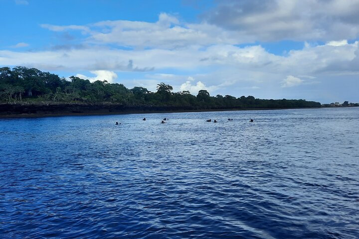 Full Day Dolphin Watching with Snorkeling in Wasini