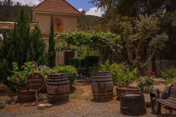 100% Cyprus - Tour to Troodos mountains and villages (From Paphos)