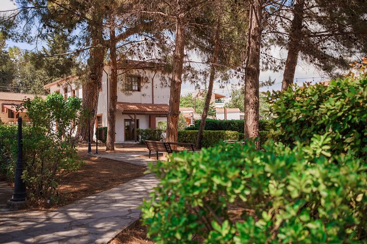 100% Cyprus - Tour to Troodos mountains and villages (From Paphos)