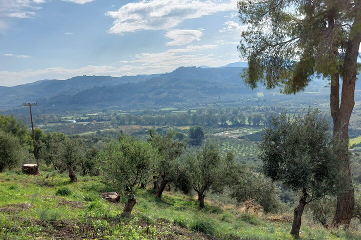 Half-Day Olympia Private Tour from Katakolon