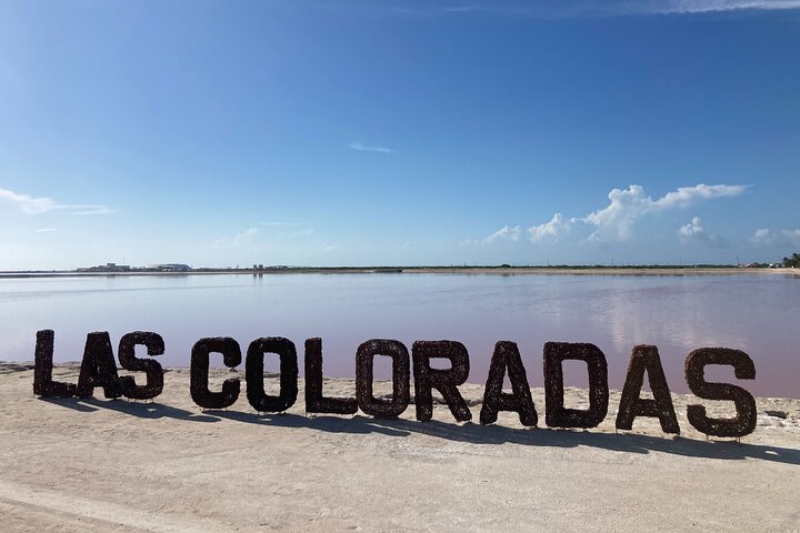 Admission Ticket to Safari in the Pink Lagoons of Las Coloradas