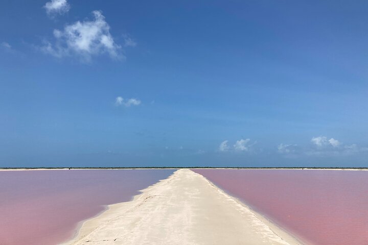 Admission Ticket to Safari in the Pink Lagoons of Las Coloradas