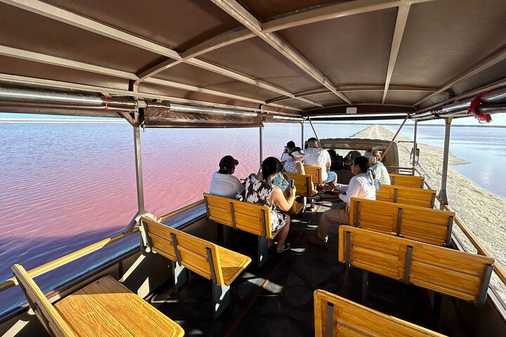 Admission Ticket to Safari in the Pink Lagoons of Las Coloradas