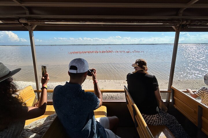 Admission Ticket to Safari in the Pink Lagoons of Las Coloradas