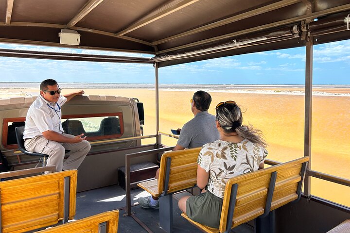 Admission Ticket to Safari in the Pink Lagoons of Las Coloradas