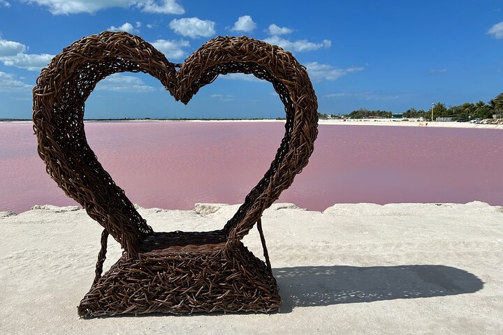 Admission Ticket to Safari in the Pink Lagoons of Las Coloradas