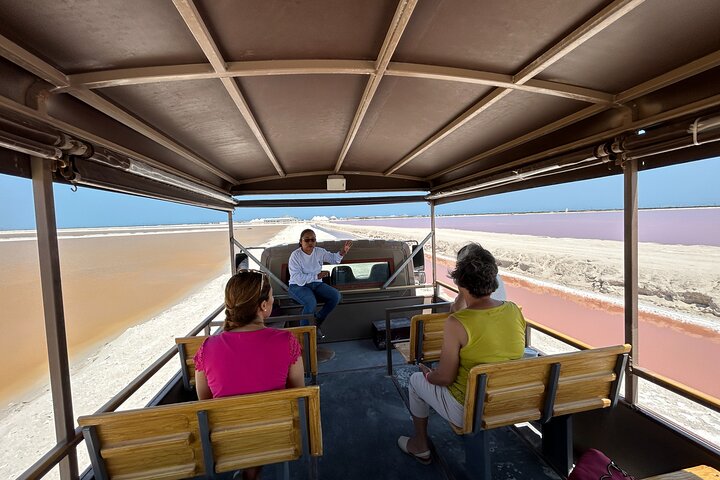 Admission Ticket to Safari in the Pink Lagoons of Las Coloradas