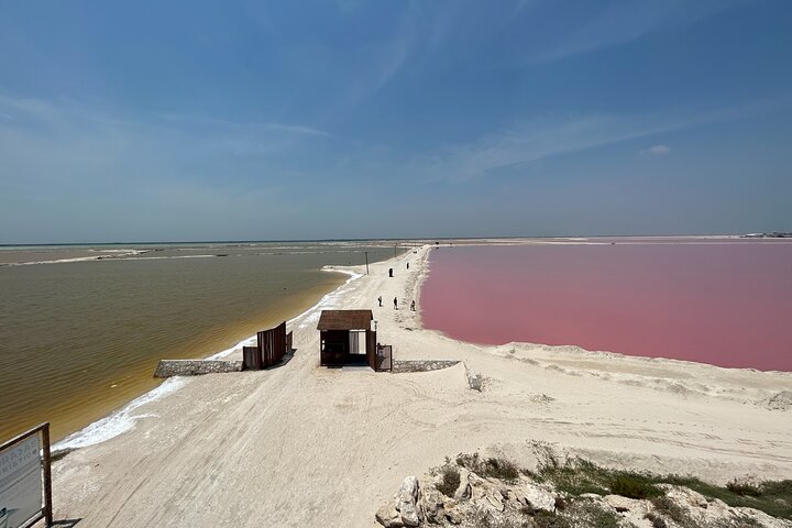 Admission Ticket to Safari in the Pink Lagoons of Las Coloradas