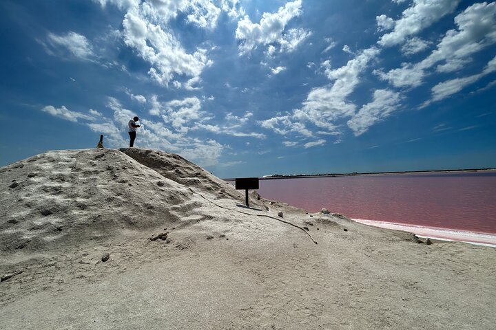 Admission Ticket to Safari in the Pink Lagoons of Las Coloradas