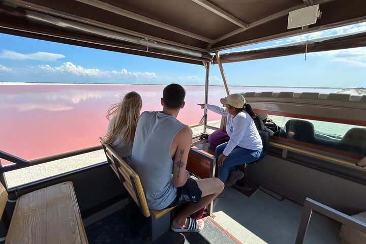 Admission Ticket to Safari in the Pink Lagoons of Las Coloradas