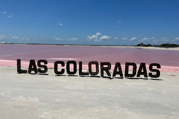 Admission Ticket to Safari in the Pink Lagoons of Las Coloradas
