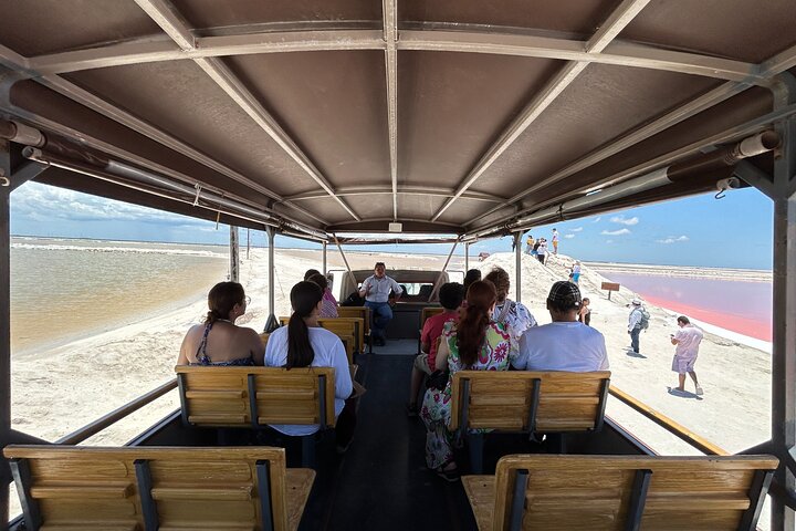 Admission Ticket to Safari in the Pink Lagoons of Las Coloradas