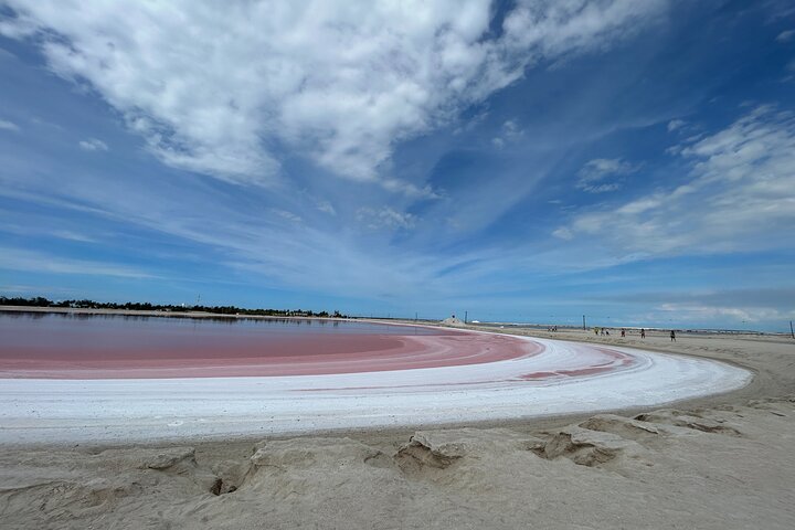 Admission Ticket to Safari in the Pink Lagoons of Las Coloradas