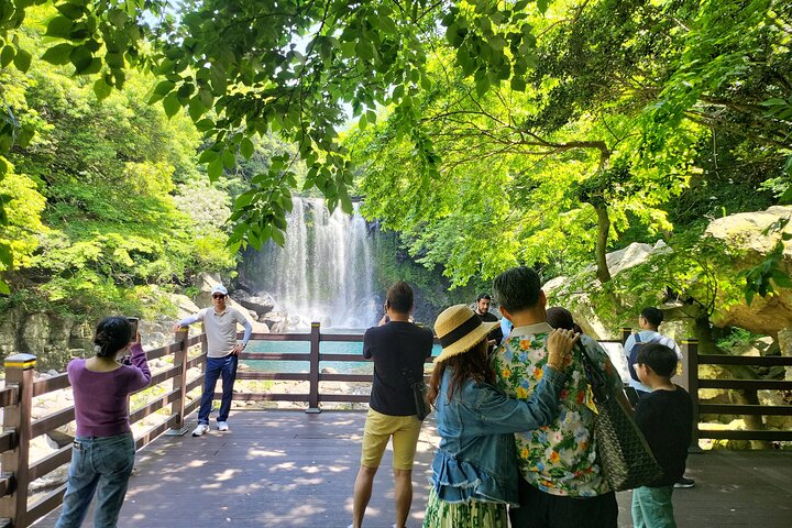 Private Day Tour in South and West in Jeju Island