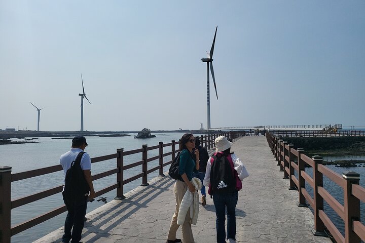 Private Day Tour in South and West in Jeju Island