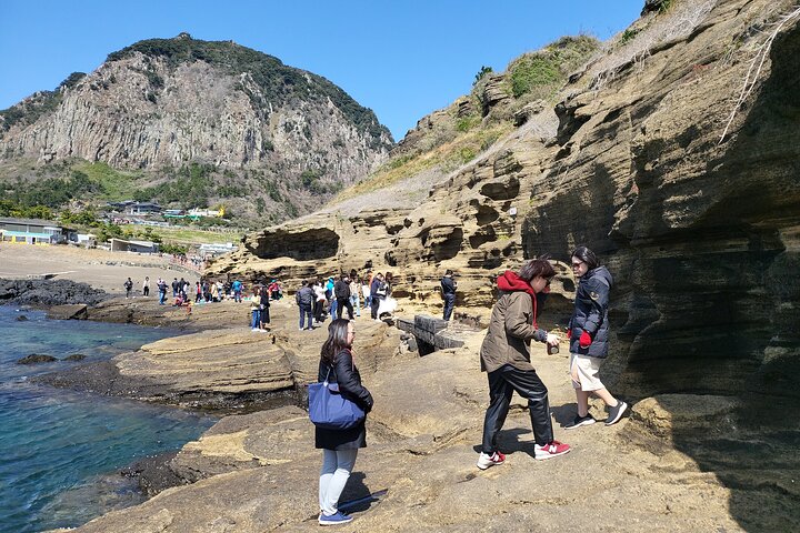Private Day Tour in South and West in Jeju Island