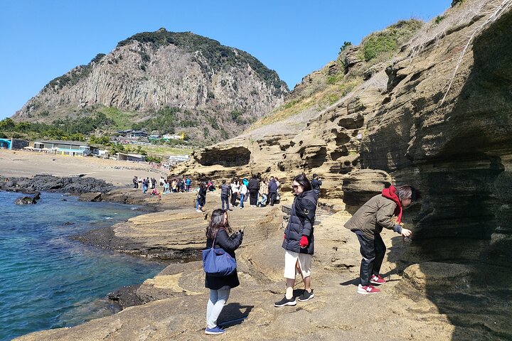 Private Day Tour in South and West in Jeju Island