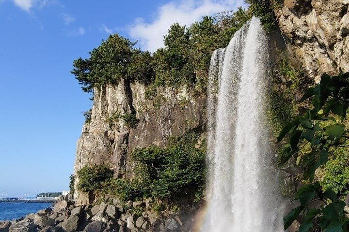Private Day Tour in South and West in Jeju Island