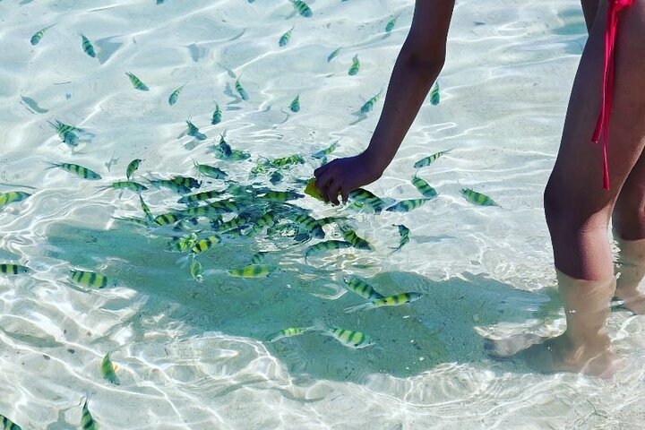 Private Longtail Boat Tour to Hong Islands