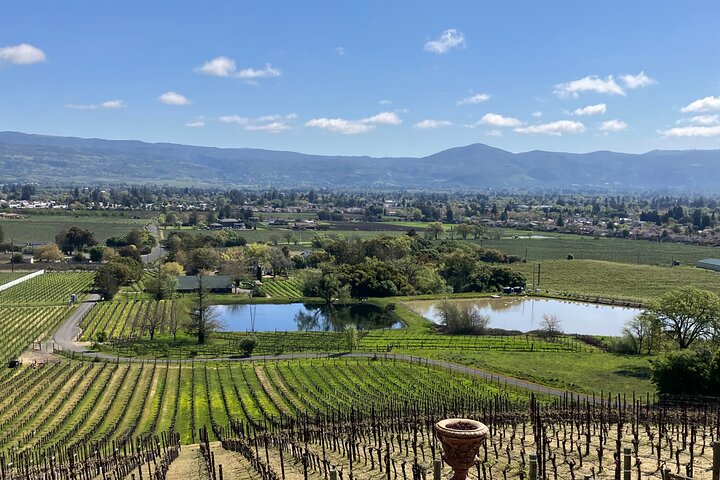Best Private Wine Tour of Napa and Sonoma: Up to 8 People