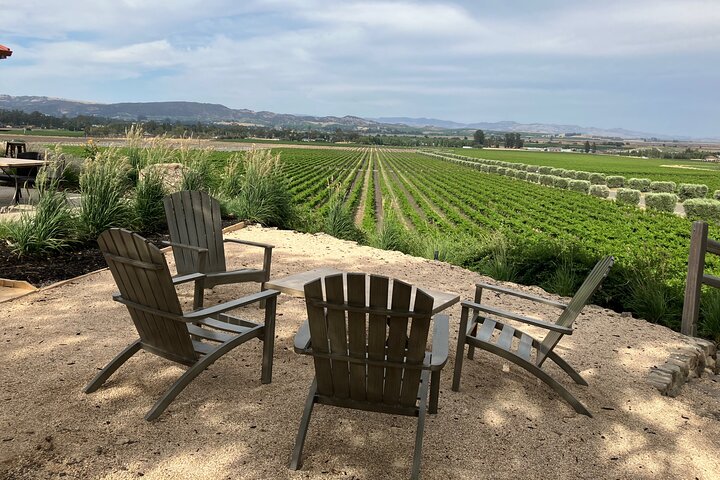 Best Private Wine Tour of Napa and Sonoma: Up to 8 People