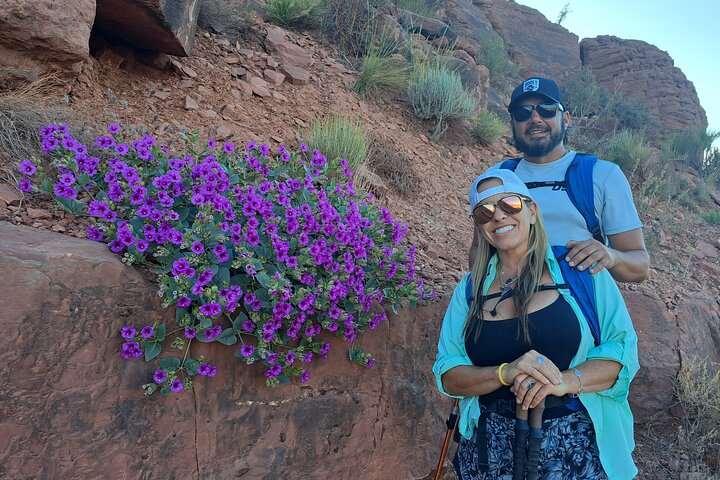 Half Day Private Grand Canyon Guided Hiking Tour