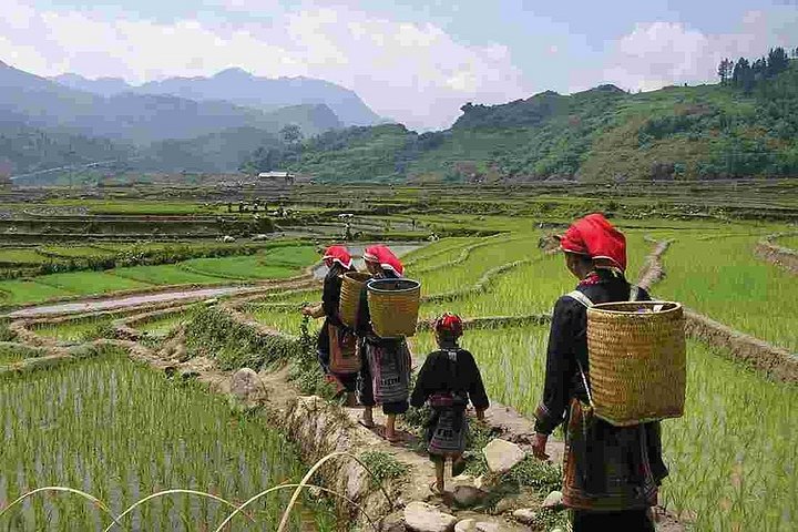 Sapa Trek 2days/1night -HOTEL 5 STAR-From Hanoi by Limousine Van