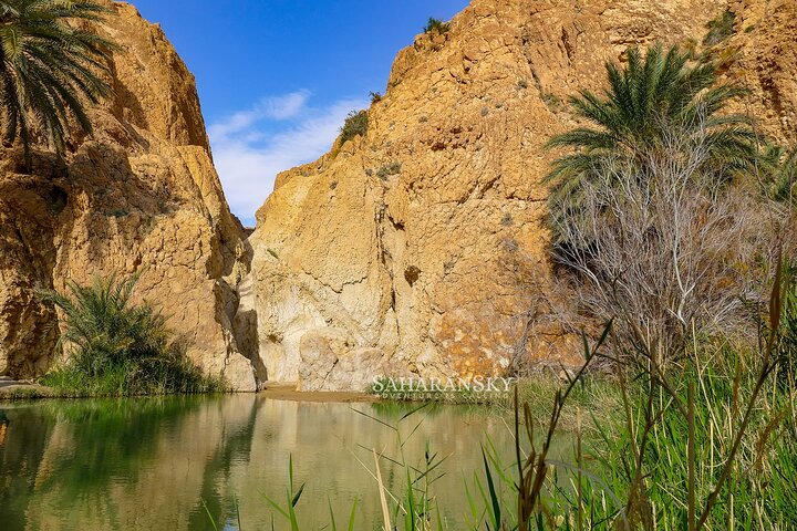 Tozeur Private Half-Day Tour: Tamerza, Chebika and Mides Canyons