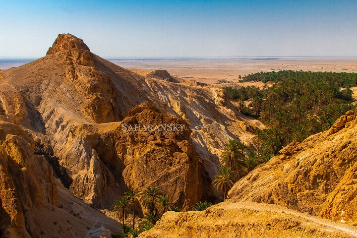 Tozeur Private Half-Day Tour: Tamerza, Chebika and Mides Canyons