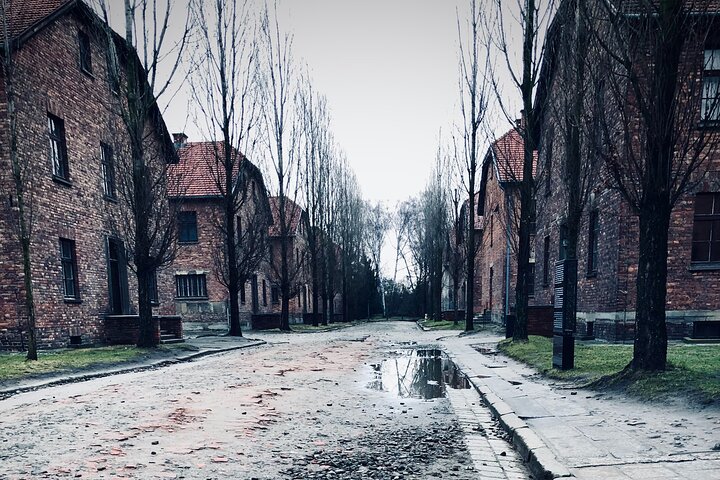 Auschwitz-Birkenau Guided Tour with Private Transport from Krakow