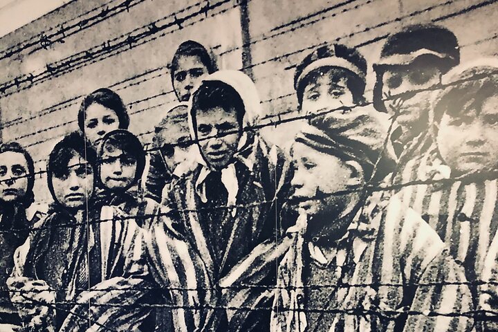 Auschwitz-Birkenau Guided Tour with Private Transport from Krakow