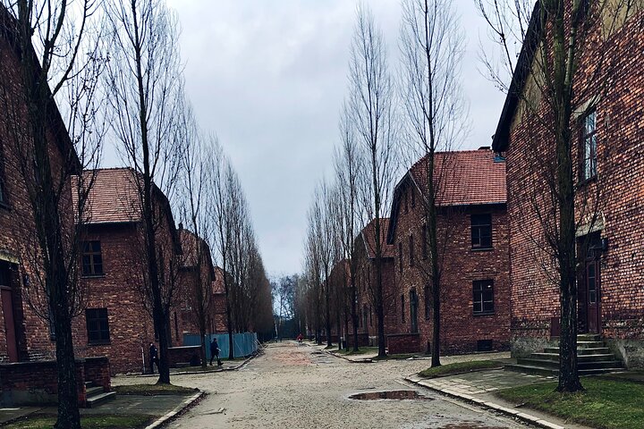 Auschwitz-Birkenau Guided Tour with Private Transport from Krakow
