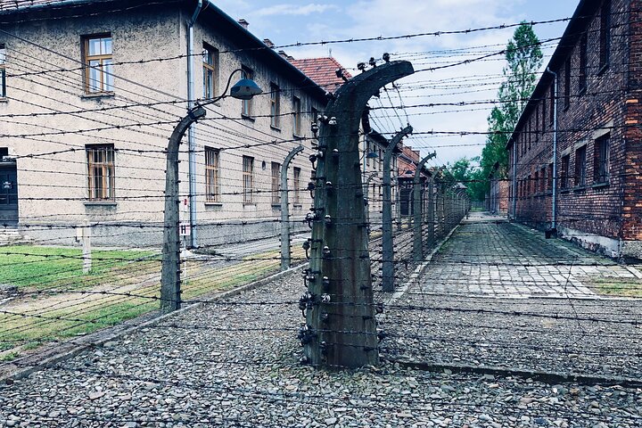 Auschwitz-Birkenau Guided Tour with Private Transport from Krakow