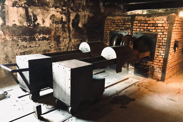 Auschwitz-Birkenau Guided Tour with Private Transport from Krakow