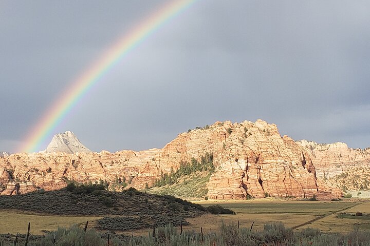 Zion National Park/Kolob Terrace Private 1/2 Day Sightseeing Tour