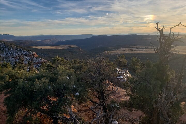 Zion National Park/Kolob Terrace Private 1/2 Day Sightseeing Tour