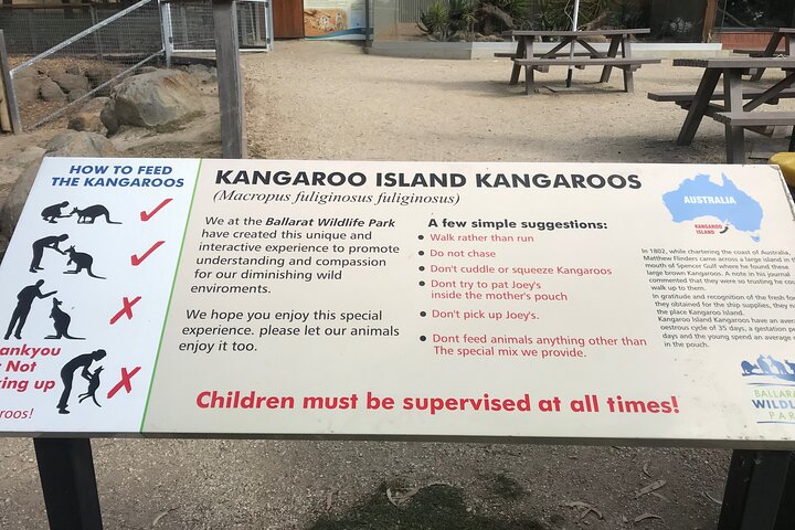 Ozzie wild life , kangaroos, koalas, dingo, devils , emu, crocs