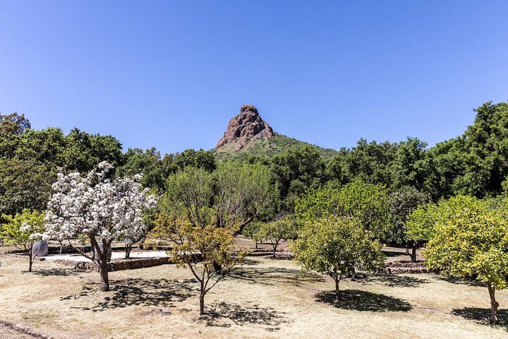Malibu: Guided Vineyard Hike with Photo Stops and Wine