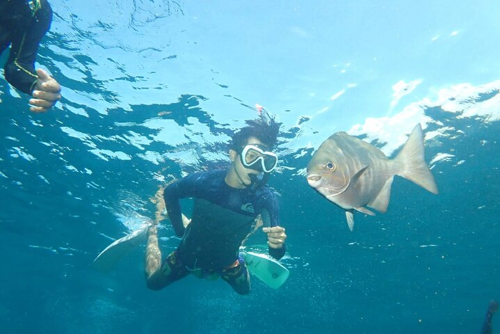 Tulamben Safari Snorkeling Adventure at Coral Garden Private Experience